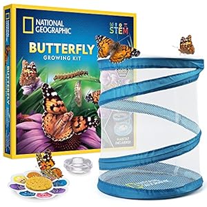 bugs-Butterfly Growing Kit