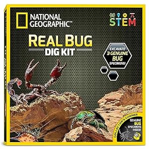 bugs-Real Bug Dig Kit