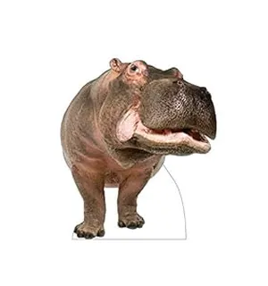hippo-Cardboard Life Size Hippopotamus Cutout