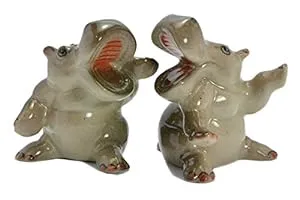 hippo-Hippo Salt and Pepper Shakers Set