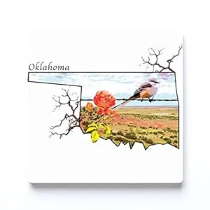 Oklahoma-Oklahoma State Coaster