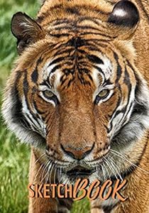 tiger-Tiger Jounal Notebook