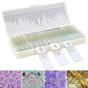 Biology Gifts for Kids-60 Microscope Slides with Specimens