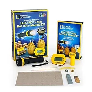 Physcis Gifts for Kids-Battery Making Kit