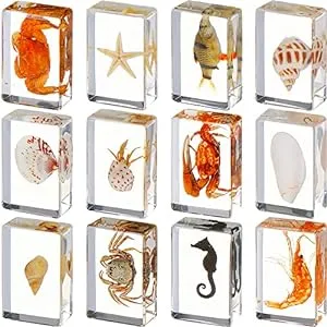 Biology Gifts for Kids-Bugs Collection Paperweights
