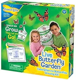 Biology Gifts for Kids-Butterfly Growing Kit