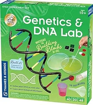 Biology Gifts for Kids-Genetics and DNA Lab