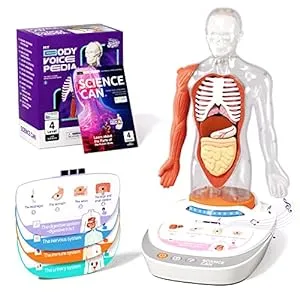 Biology Gifts for Kids-Human Body Model