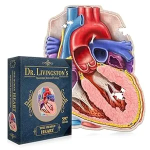 Biology Gifts for Kids-Human Heart Anatomy Puzzle