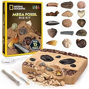 Geology Gifts for Kids-Mega Fossil Dig Kit
