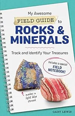 Geology Gifts for Kids-My Awesome Field Guide to Rocks and Minerals